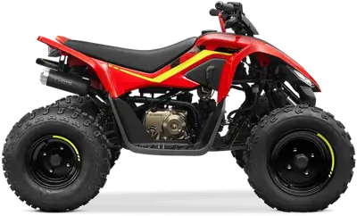 CFMOTO CFORCE 110