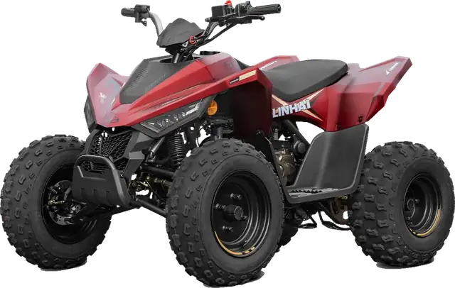 Linhai ATV 110
